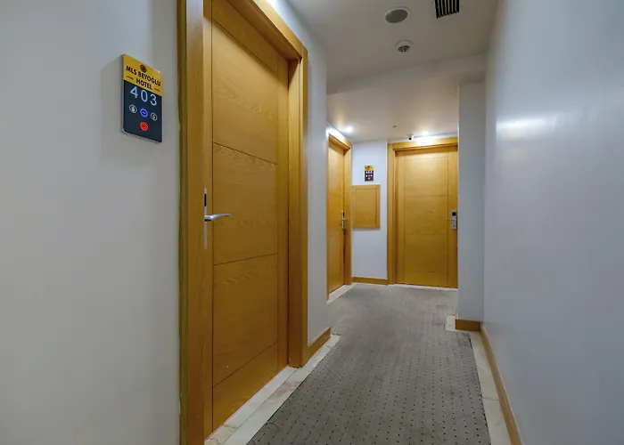 Beyoglu Mls 3* Стамбул